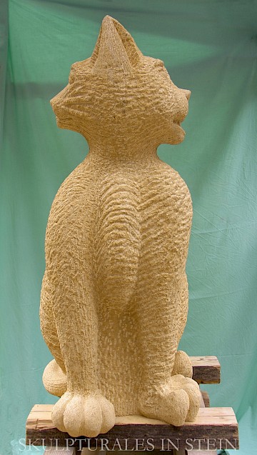 Janus-Katze vorn