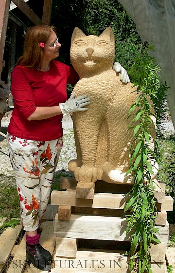 Janus-Katze
